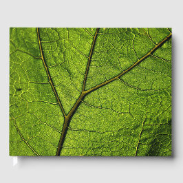 Livro De Visitas Folha de Borboleta Verde