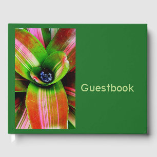 Livro De Visitas Folha tropical do bromeliad
