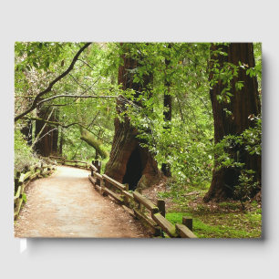 Livro De Visitas Fotografia natural de Muir Woods Path II
