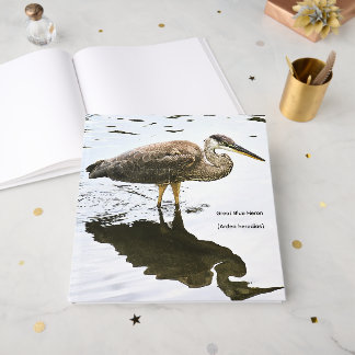 Livro De Visitas Garça-real (Ardea herodias)