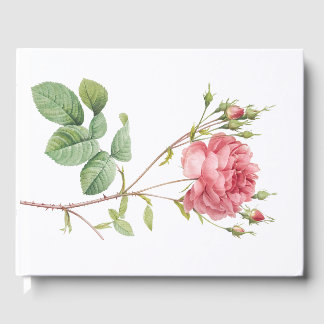 Livro De Visitas Garden Princesa Rosa Rosa Bonita