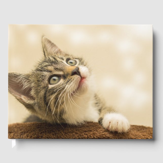 Livro De Visitas Gatinho Fofo com uma Pata Estimulada (Frente)