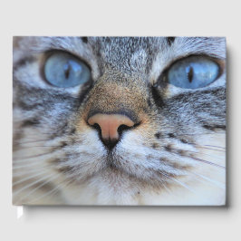 Livro De Visitas Gato de cinza