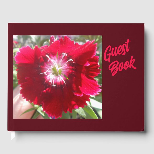 Livro De Visitas Geertje (Frente)