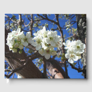 Livro De Visitas Grupos de Flores Brancas da Árvore de Pêra de Flor