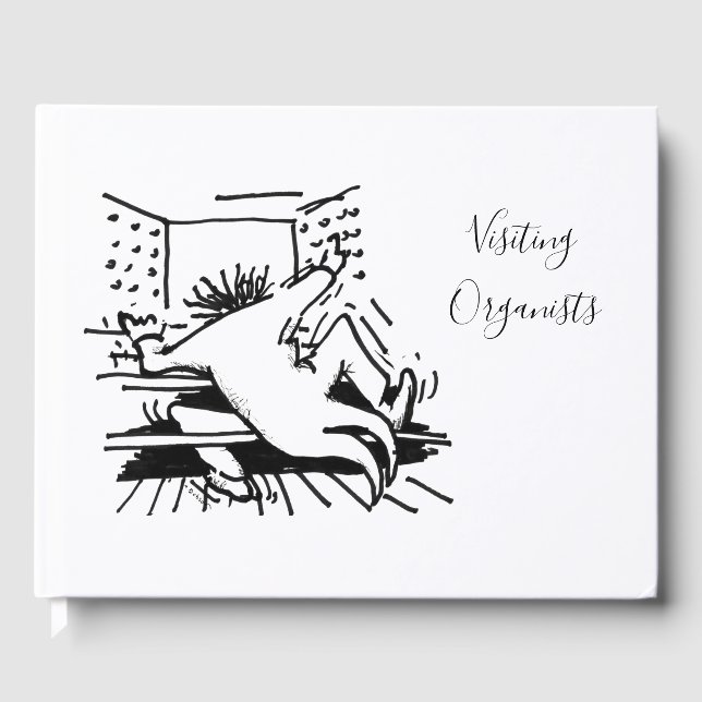 Livro De Visitas Guia informal dos organizadores de visitas (Frente)