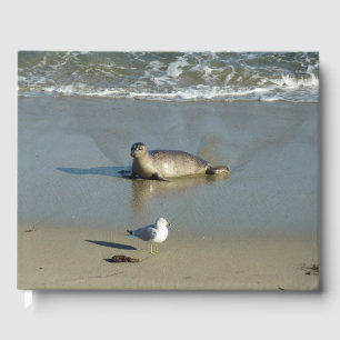 Livro De Visitas Harbor Seal em La Jolla California