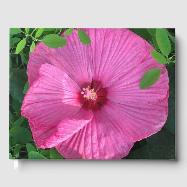 Livro De Visitas Hibiscus Bloom (Frente)