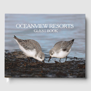 Livro De Visitas Hospitalidade das aves costeiras / Vida selvagem /