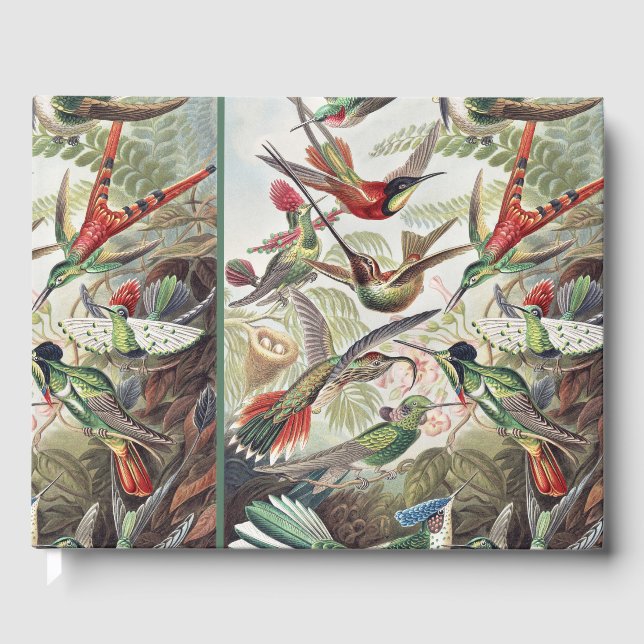Livro De Visitas Hummingbird Bird Wildlife Classic Painting (Frente)