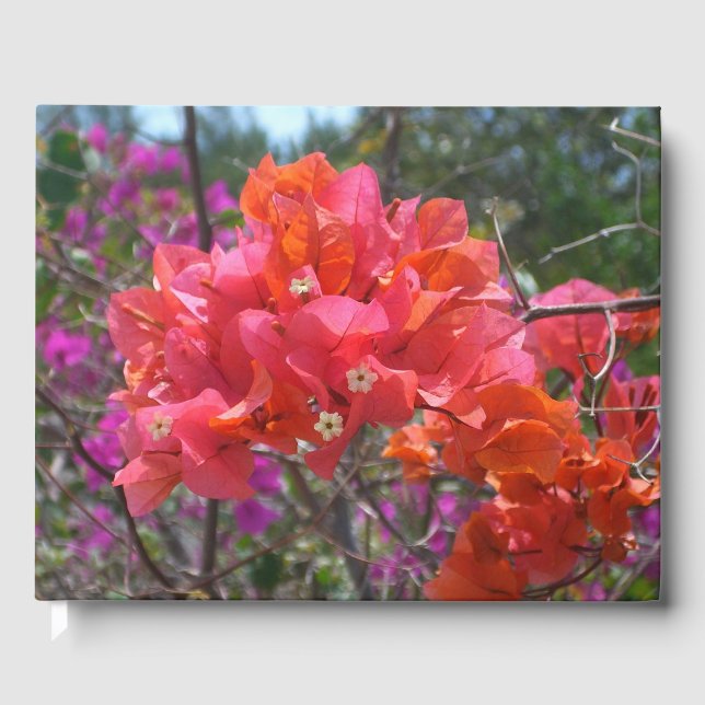 Livro De Visitas Ilha Tropical Rosa Bougainvillea Floral (Frente)