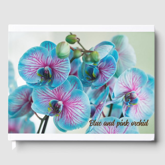 Livro De Visitas Isolamento em fundo branco (Frente)