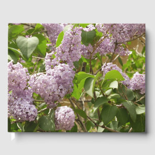 Livro De Visitas Lilac Bush Lindas Flores de primavera Roxas