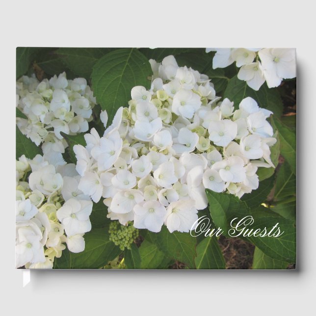 Livro De Visitas Lindas Hortênsias Brancas (Frente)