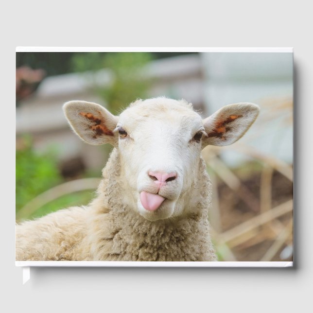 Livro De Visitas Língua do espetáculo de ovelhas (Frente)