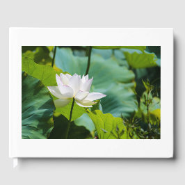 Livro De Visitas Lotus