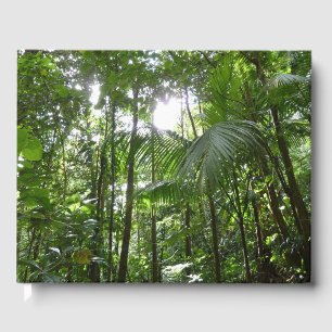 Livro De Visitas Luz Solar Através do Dossel da Floresta Tropical V
