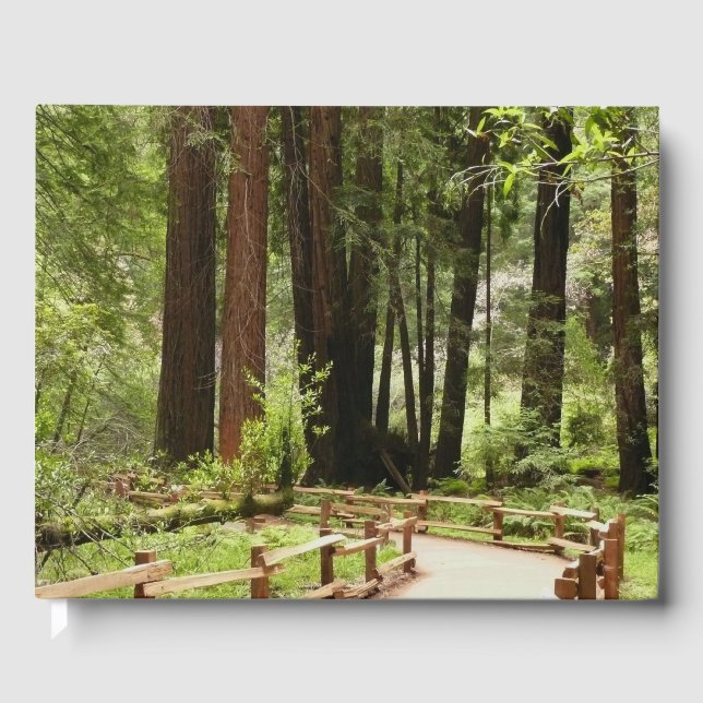 Livro De Visitas Muir Woods Path I Nature Photoics (Frente)