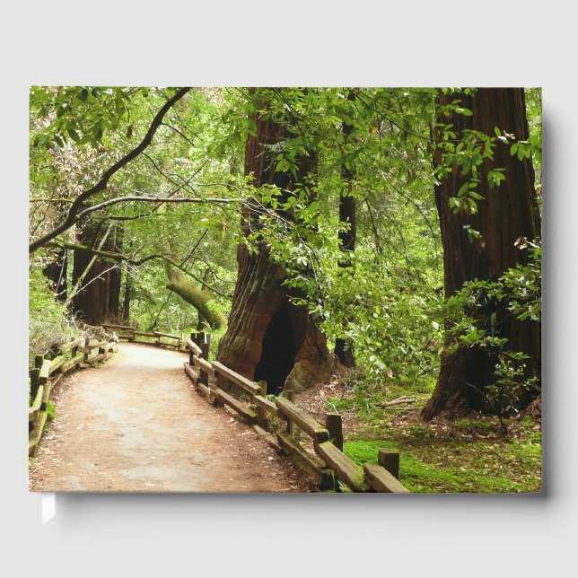 Livro De Visitas Muir Woods Path II - Fotografia natural (Frente)