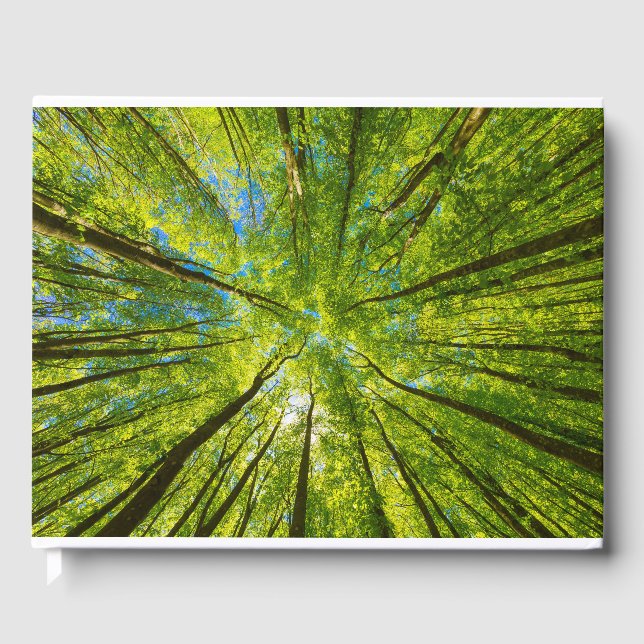 Livro De Visitas Olhando através das folhas de árvores verdes (Frente)