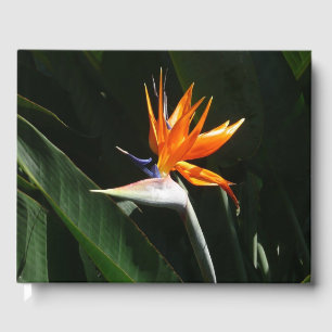 Livro De Visitas Pássaro da Flor Tropical Laranja do Paraíso