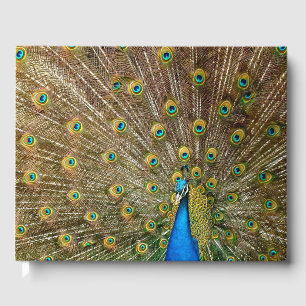 Livro De Visitas Pelas Caudas de Peacock