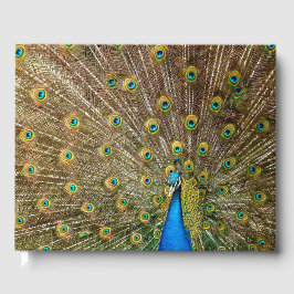Livro De Visitas Penas da Cauda Peacock
