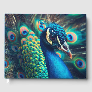 Livro De Visitas Perfil Peacock