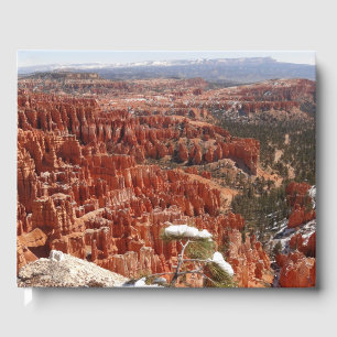 Livro De Visitas Ponto de Inspiração no Bryce Canyon I