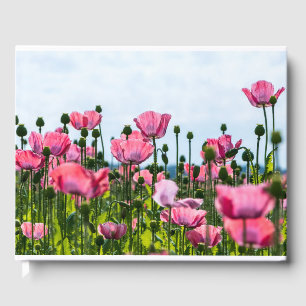 Livro De Visitas Poppies Rosa