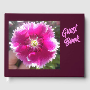 Livro De Visitas Promessa