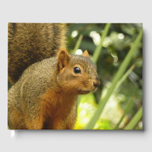 Livro De Visitas Retrato de um Esquilo Fotografia Animal