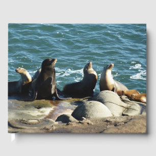 Livro De Visitas San Diego Sea Lions