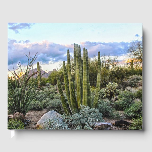 Livro De Visitas Scottsdale Succulent Sunset (Frente)