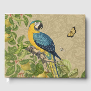 Livro De Visitas Selva Tropical Amarela Macaw Antiguidade