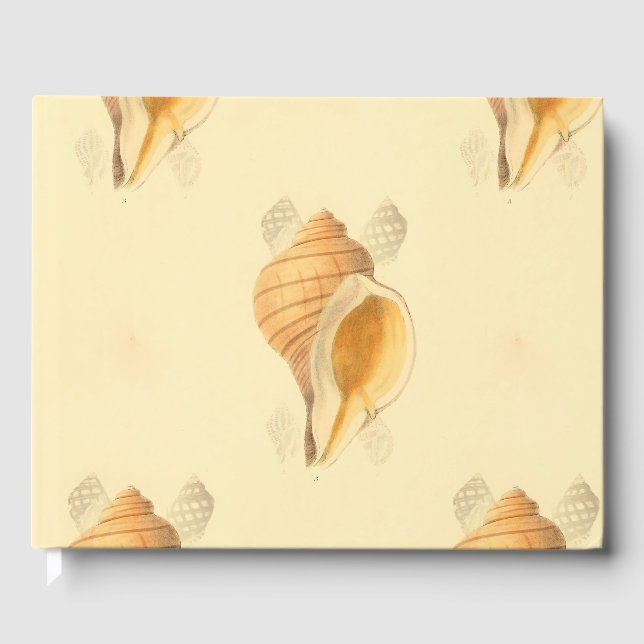 Livro De Visitas shell Beach art design brilhante (Frente)
