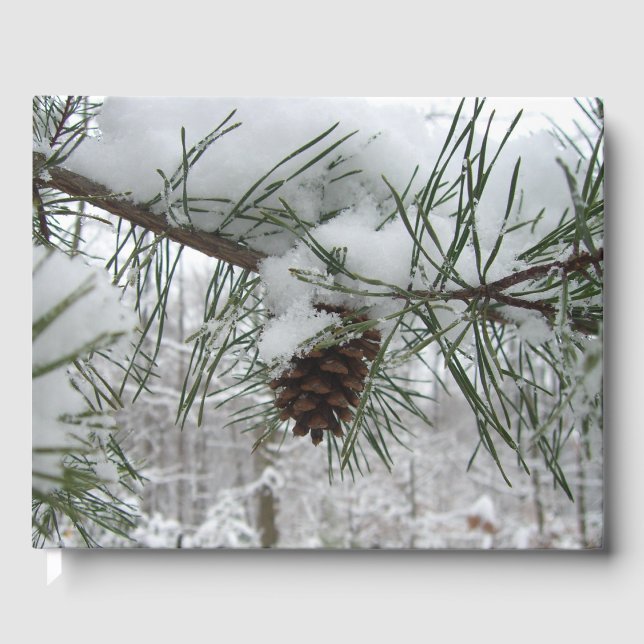 Livro De Visitas Snowy Pine Branch Winter Nature Fotografia (Frente)