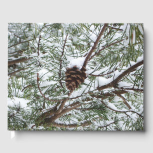 Livro De Visitas Snowy Pine Cone II Fotografia de inverno