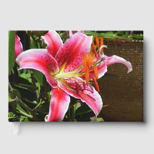 Livro De Visitas Stargazer Lily Fotografia