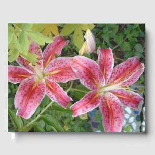 Livro De Visitas Stargazer Lily Garden Floral