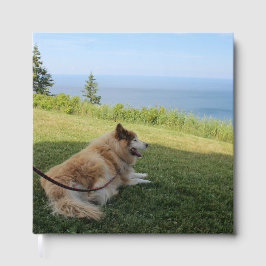 Livro De Visitas Suka aproveitando o Cabo George