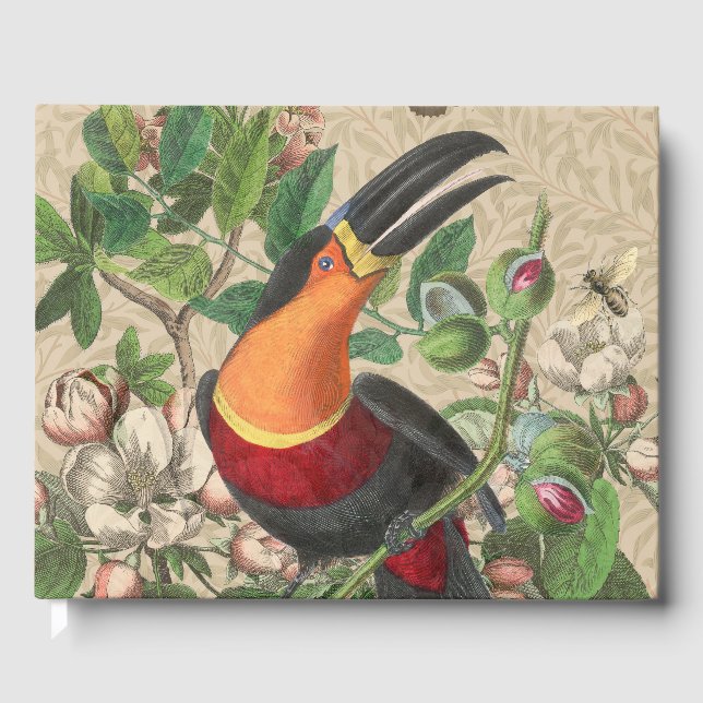 Livro De Visitas Toucan Jungle Tropical Bird Beauful Antiguidade (Frente)