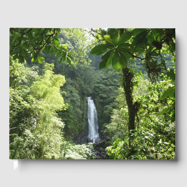 Livro De Visitas Traffic Falls Tropical RainForest Fotografia (Frente)