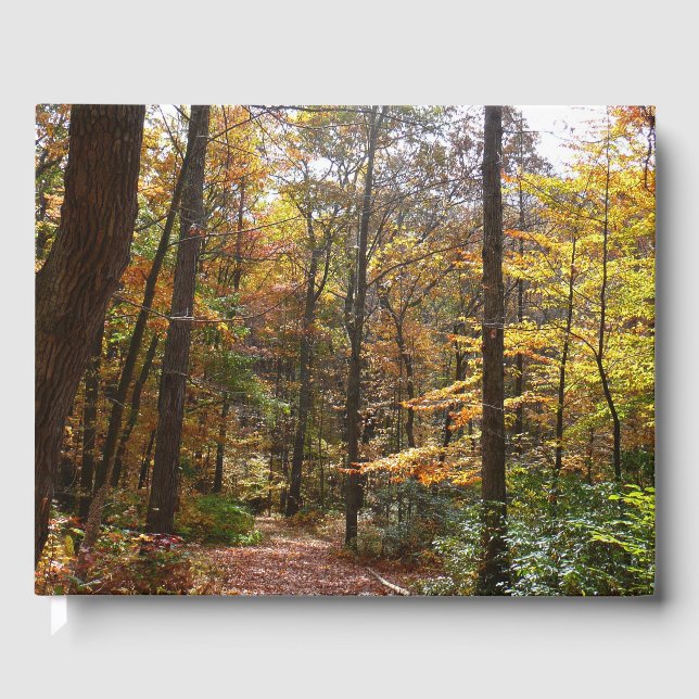 Livro De Visitas Trilha Ensolarada de Outono em Laurel Hill State P (Frente)
