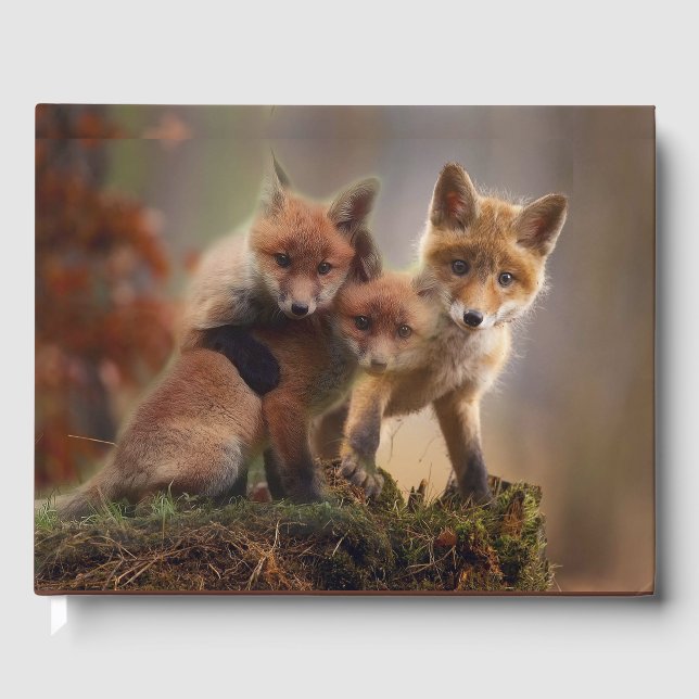 Livro De Visitas Tripletes Foxy (Frente)