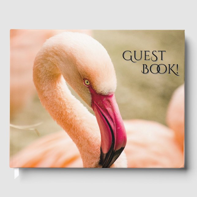 Livro De Visitas Um Belo Flamingo Rosa (Frente)