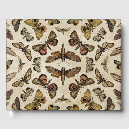 Livro De Visitas Vintage Moths