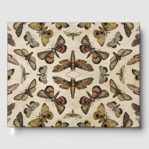 Livro De Visitas Vintage Moths