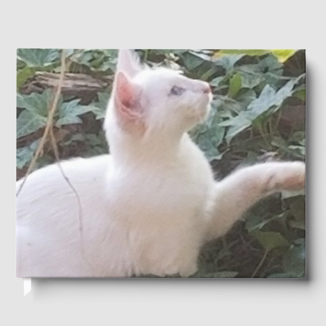 Livro De Visitas whitecat GuestBook (Frente)