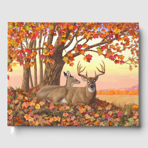 Livro De Visitas Whitetail Deer no outono de Nova Inglaterra cai em